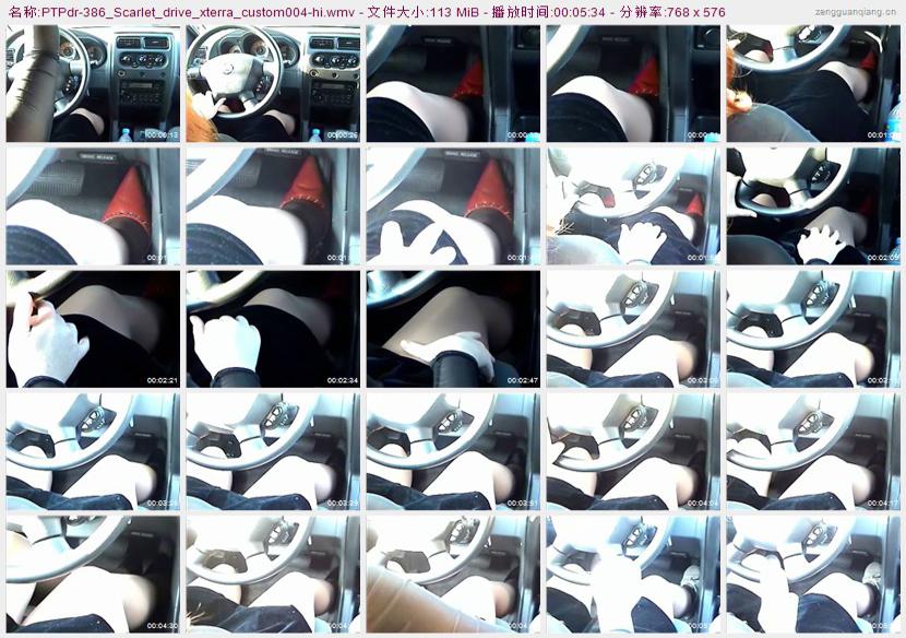 ptpdr-386_Scarlet_drive_xterra_custom004